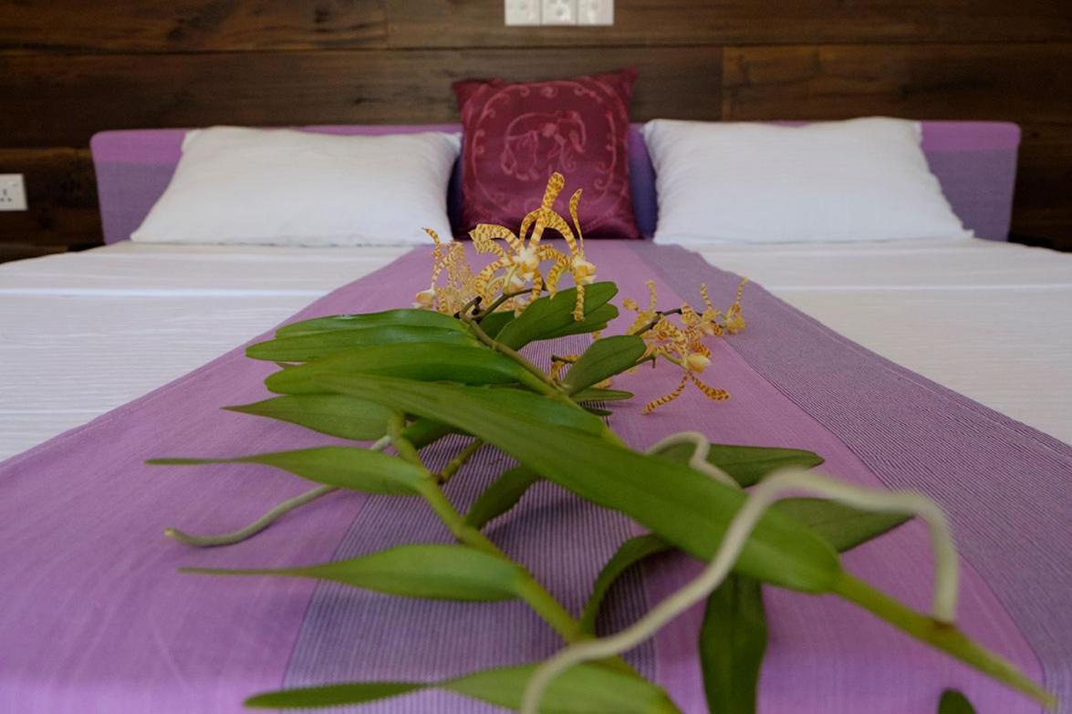 Sanda Eliya Resort Bentota Exteriör bild
