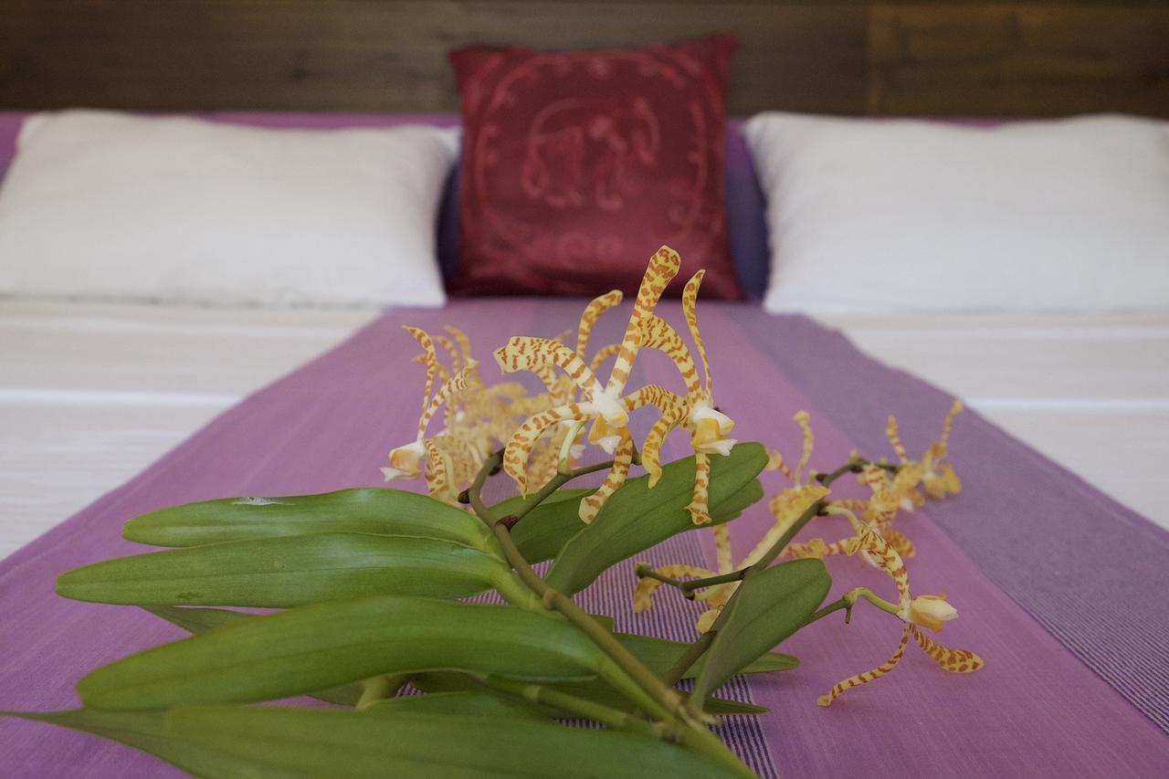 Sanda Eliya Resort Bentota Exteriör bild
