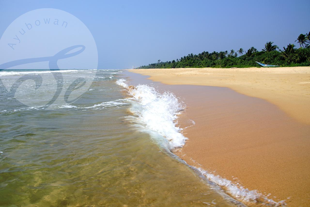 Sanda Eliya Resort Bentota Exteriör bild